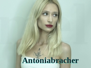 Antoniabracher