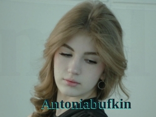 Antoniabufkin