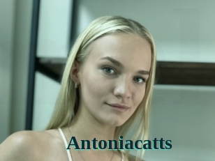 Antoniacatts