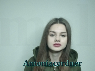 Antoniacordner