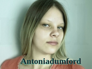 Antoniadumford