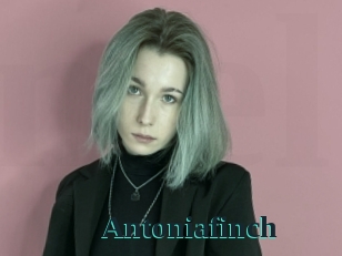 Antoniafinch