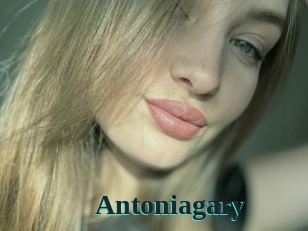 Antoniagary