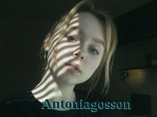 Antoniagosson