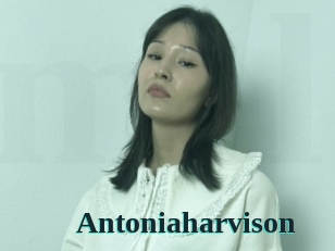 Antoniaharvison