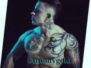 Antonygold