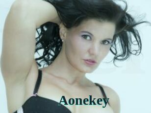 Aonekey