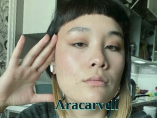 Aracarvell