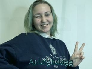 Arleighdagg