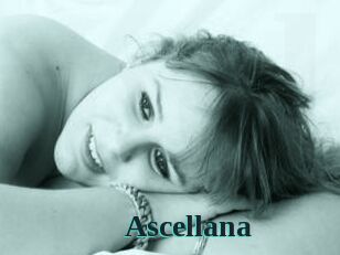 Ascellana