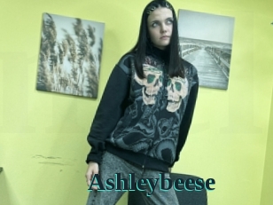 Ashleybeese