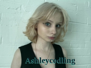 Ashleycodling