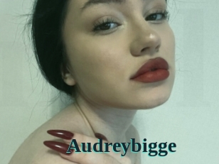 Audreybigge