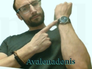 Avalonadonis