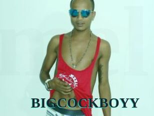 BIGCOCKBOYY