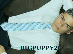 BIGPUPPY20