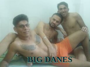 BIG_DANES