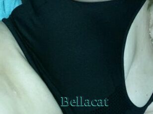 Bellacat