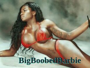 BigBoobedBarbie