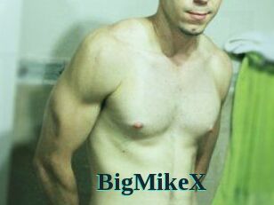 BigMikeX