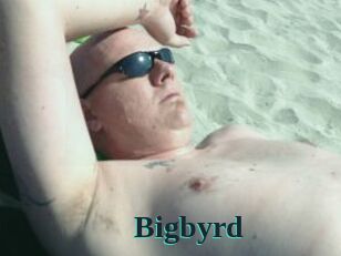 Bigbyrd