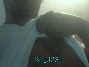 Bigd231