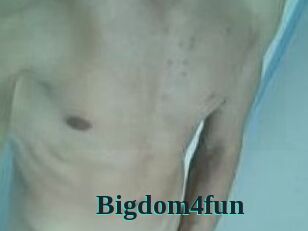 Bigdom4fun