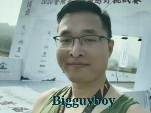 Bigguyboy