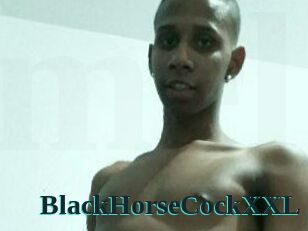 BlackHorseCockXXL