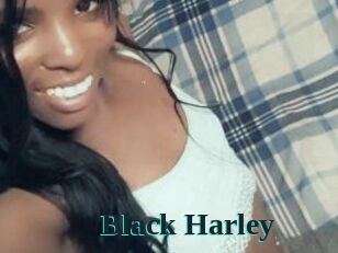 Black_Harley