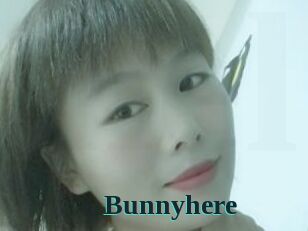 Bunnyhere