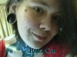 Buzz_Cat