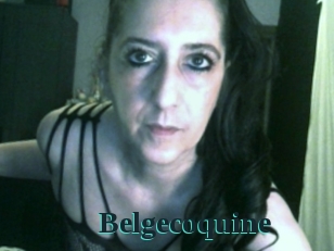 Belgecoquine