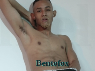 bentofox Melody Melons
