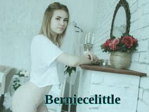 Berniecelittle