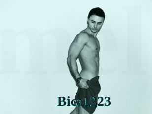Bica1223