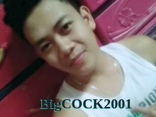BigCOCK2001
