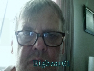 Bigbear61