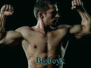 Bigboyx