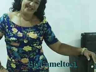 Bigcameltoe1