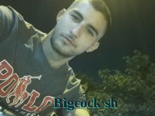 Bigcock_sh
