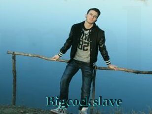 Bigcockslave