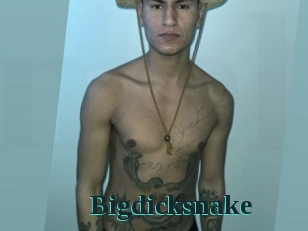 bigdicksnake Melody Melons