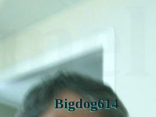 Bigdog614