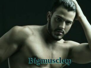 Bigmuscletp
