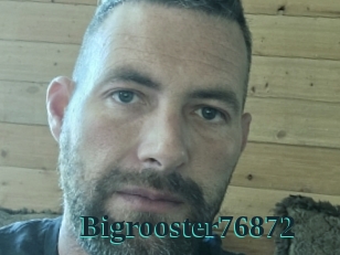 Bigrooster76872