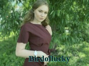 Birdoflucky