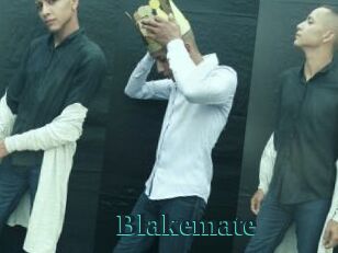 Blakemate