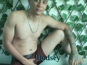 Bodsey