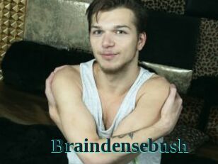 Braindensebush